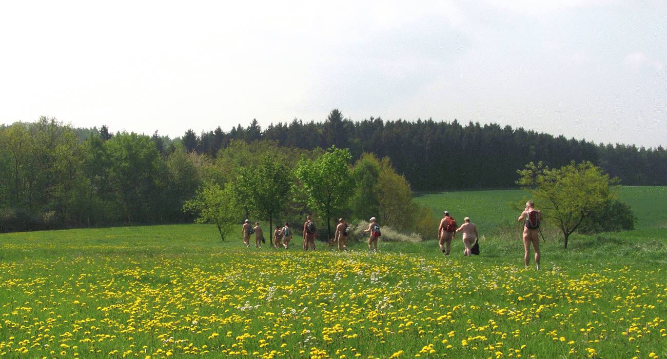 Bild 8: Wir starteten unsere Wanderung südlich des Campingplatzes über eine Frühlingswiese