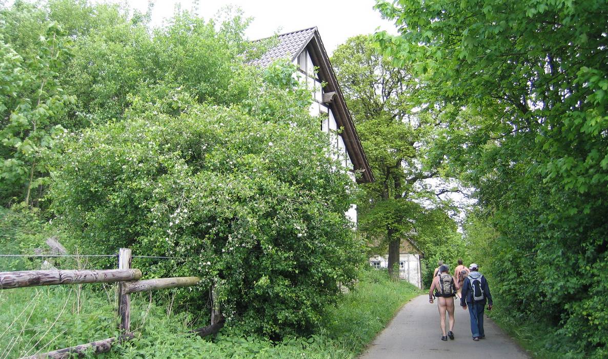 Bild 14: Vorbei an einzelnen Häusern führte der Rundweg überwiegend durch Waldland