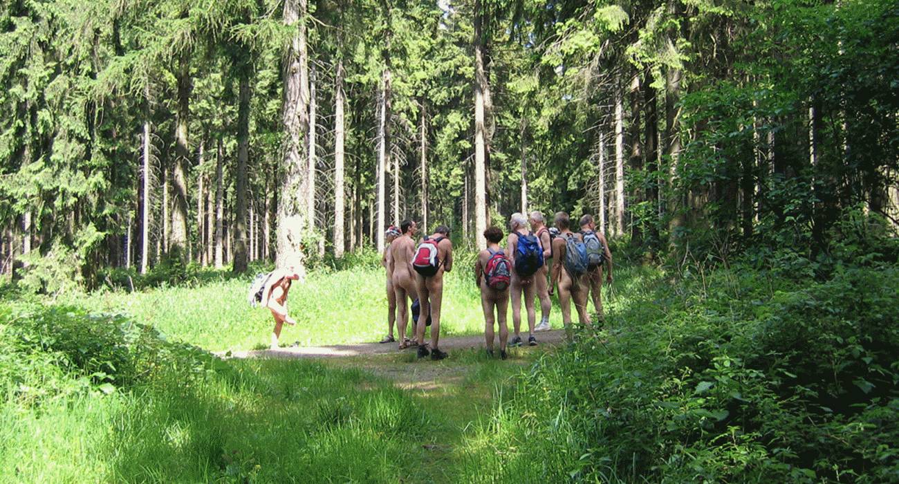 Bild 15: Frühsommersonne durchstrahlt den lichten Wald: Es wird Zeit für nackte Wanderer