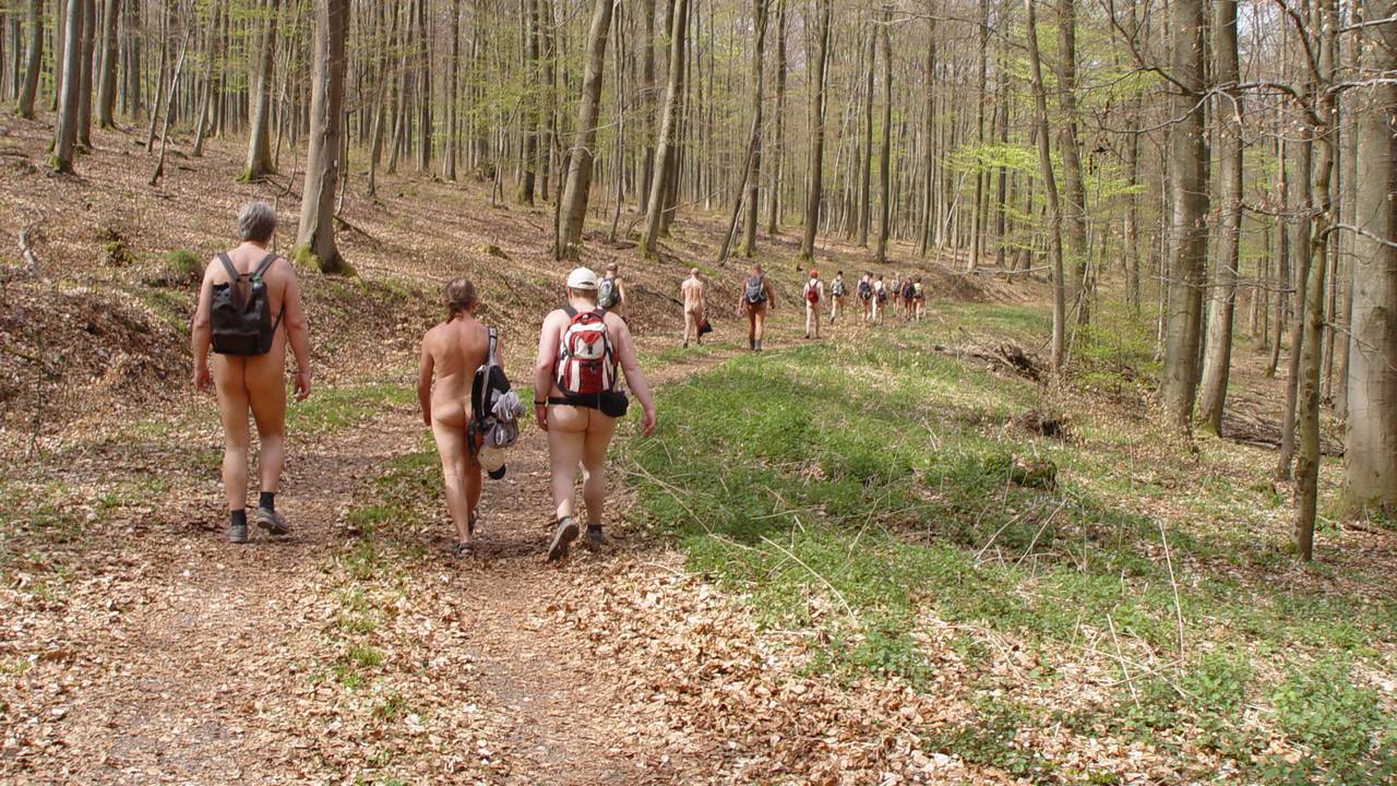 Bild 5: Noch sehr zartes Grün schmückte die Zweige der Bäume im Taunus