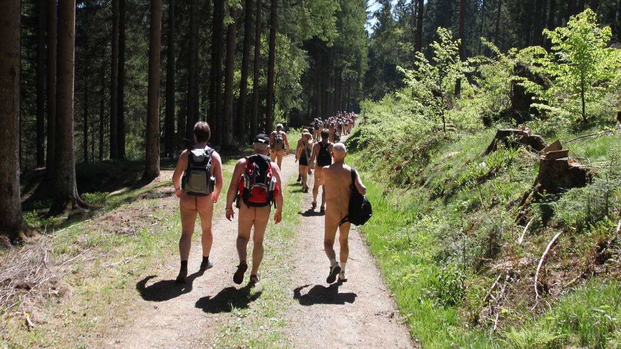 Bild 9: Zur Pfingstwanderung im Rothaargebirge waren über 60 Teilnehmer gekommen