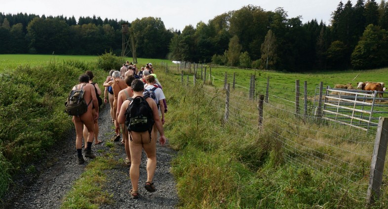 Wanderung im Burgwald