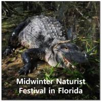 En berichte aus reports from 2018 03 12 florida illustrated