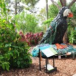 201802 007 west-palm-beach botanical-garden04