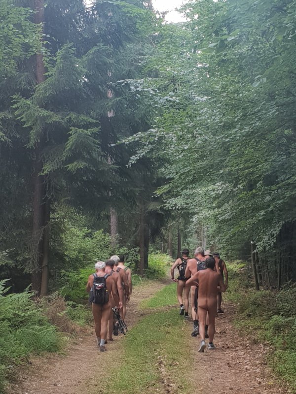 10 blote wandelaars,	die liepen door het bos… | 20