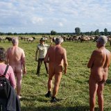 Mo 19: Vom Zielparkplatz aus begaben sich 37 Naturist*innen direkt in das Wildpferd-Gehege bei Merfeld[en]Mo 19: 37 naturists drove from the destination car park directly to the wild horse enclosure near 'Merfeld' [nl]Ma 19-8: Vanaf eindpunt wandeling en fietstocht rechtstreeks naar het terrein van de wilde paarden nabij Merfeld [fr]Lun 19 : Du parking d'arrivée, 37 naturistes se sont rendus directement à l'enclos des chevaux sauvages près de Merfeld