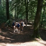 Fr 23: Sanfte Waldwege im Teutoburger Wald...[en]Fr 23: Gentle forest paths in the 'Teuto' … [nl]Vr 23: Boswegen in het Teutoburger Woud hebben zachte ondergrond … [fr]Ven 23 : Sentiers forestiers doux dans la forêt de Teutoburg....