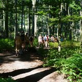 So 25: Im Wald blieb es etwas unter 30°[en]Su 25: In the forest, temperature remained a little below 30 °C [nl]Zo 25-8: In het bos bleef het net beneden de 30 graden [fr]Dim 25 : Dans la forêt, il est resté un peu en dessous de 30°.