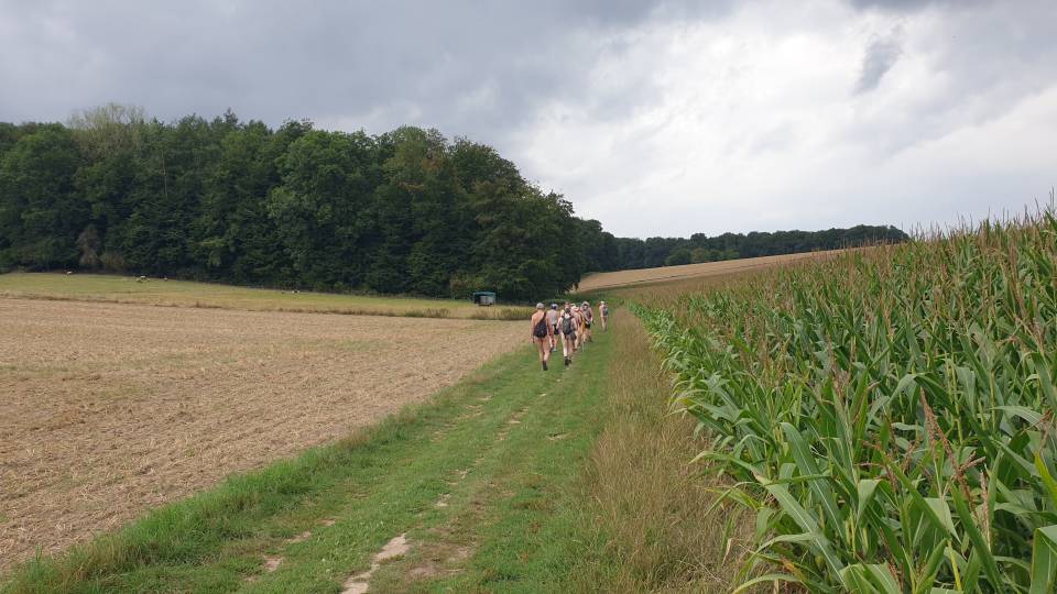 Baumberge 40/51 Zwischen Wald und Feld