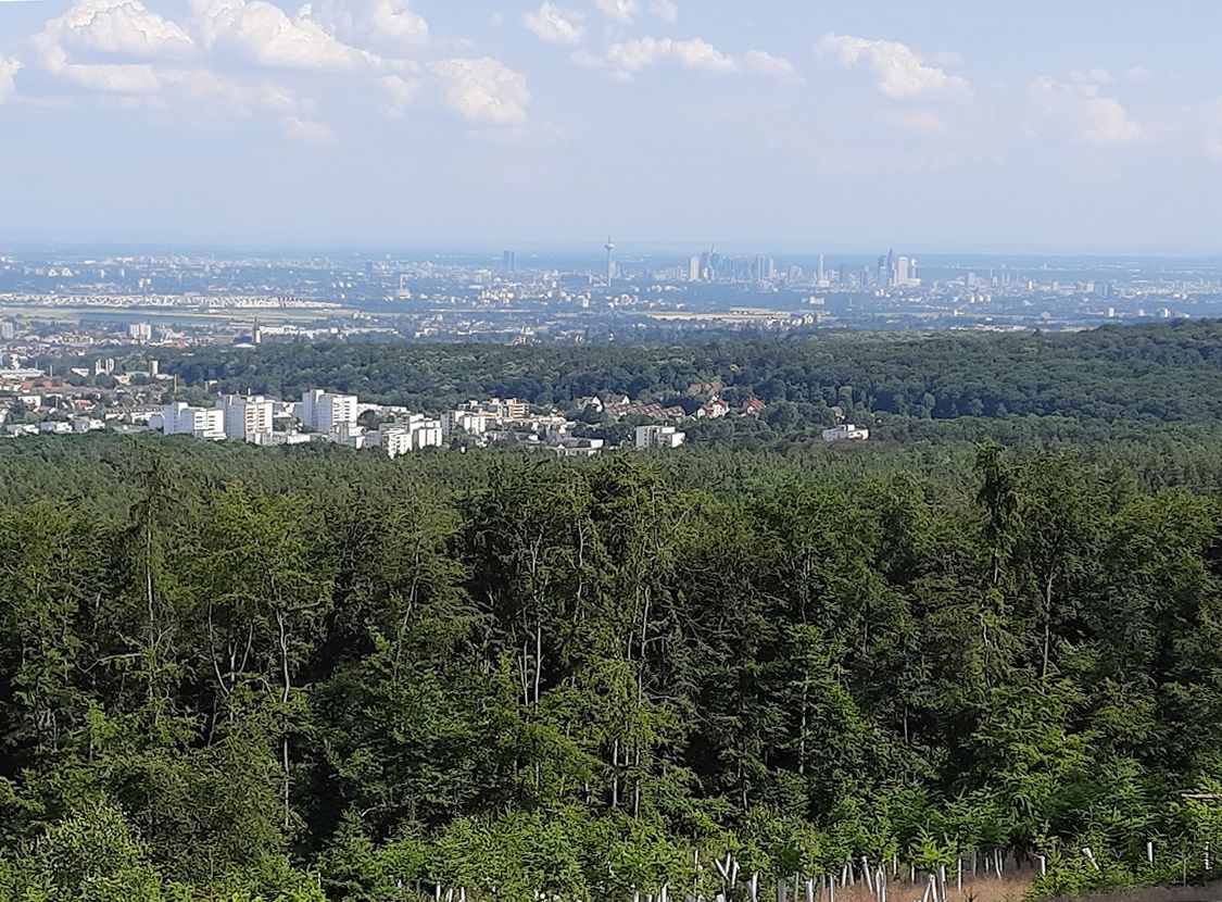 6(7) Blick vom Altkönig auf die Frankfurter Skyline