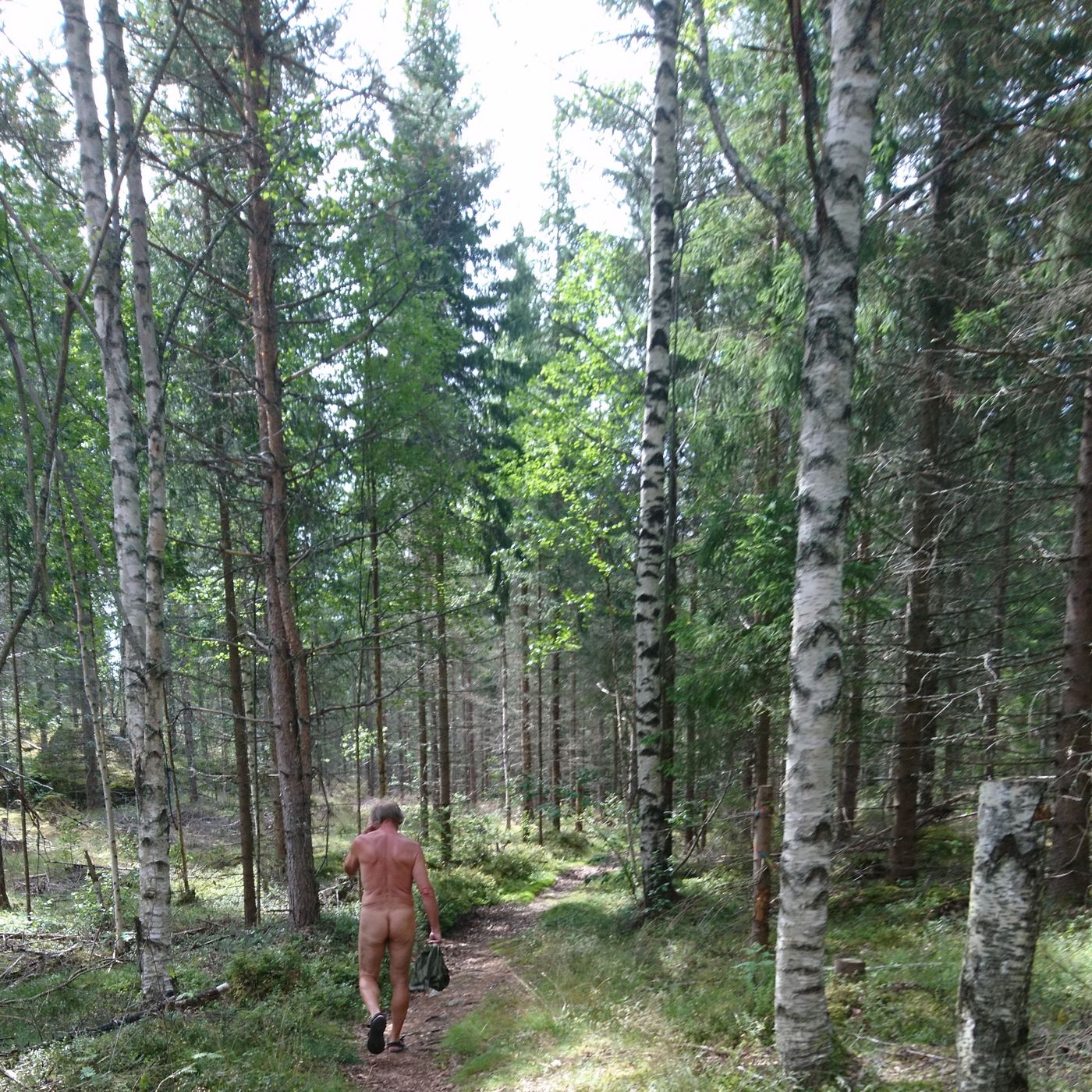 Die „Naturistenrunde“ führte durch lichten Wald, der durch Birken und Nadelhölzer geprägt war (5/15)