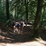 Ven 23 : Sentiers forestiers doux dans la forêt de Teutoburg....