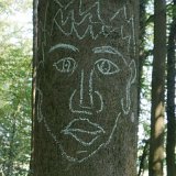 Dim 25 : Soudain vous tombez sur de l'art sur un arbre