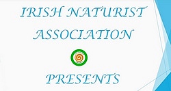 Irish Naturist Association (INA): youtube.com/embed/amQEMSGrEKk