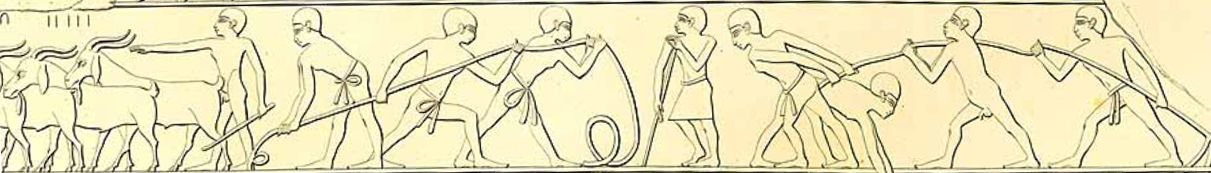 Altes Reich, 4. Dynastie, Pyramiden in Gizeh, Grab 75: Einige Männer tragen eine Hüftschnur, die vorn mit einer Schleife gebunden ist, andere tragen gar nichts, der Chef ist mit einem Schurz bekleidet.